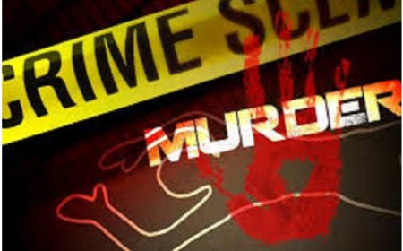 रायपुर में बढ़ता अपराध: 9 दिनों में 8 हत्याएं, ताजा मामला पत्थर से हत्या