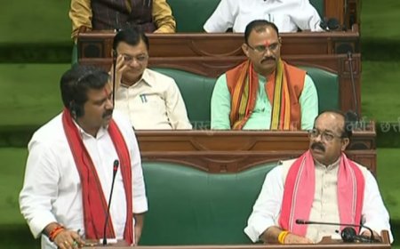 CG VIDHANSABHA: विधानसभा में उठा साइबर क्राइम का मुद्दा, बीजेपी विधायकों के सवालों से घिरे गृहमंत्री